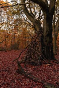 Entspannungstechniken für ein ganzheitliches Wohlbefinden.